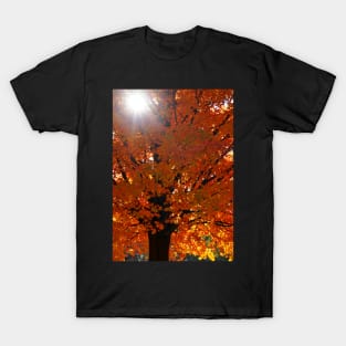 Vertical Autumn Orange Maple Tree T-Shirt